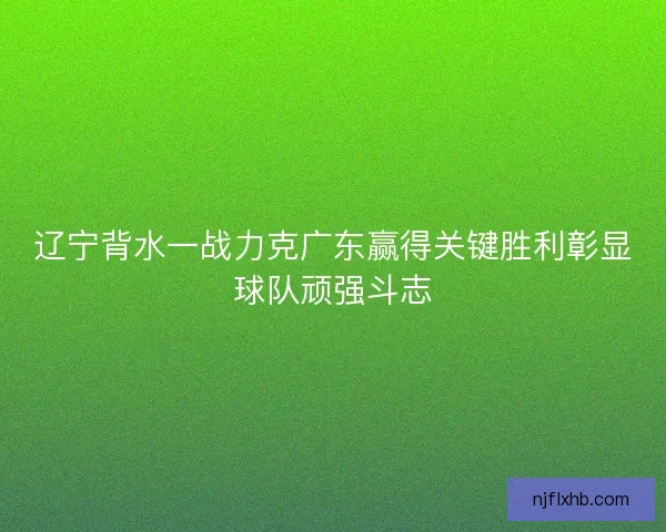 辽宁背水一战力克广东赢得关键胜利彰显球队顽强斗志